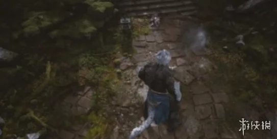 《黑神话：悟空》游戏攻略——揭秘碧藕种子高效获取途径与种植技巧详解