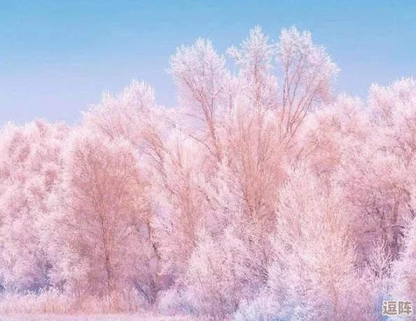 含羞草实验所隐藏2024:内幕曝光!疑似揭露明星绯闻和政治丑闻,网友热议不已 含羞草实验所隐藏2024:内幕曝光!疑似揭露明星绯闻和政治丑闻,网友热议不已