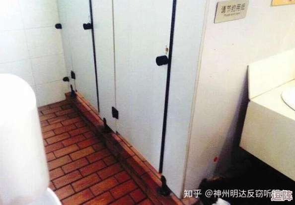 外站高校沟厕嘘嘘盗摄现象的社会影响与法律责任研究：以某高校为例