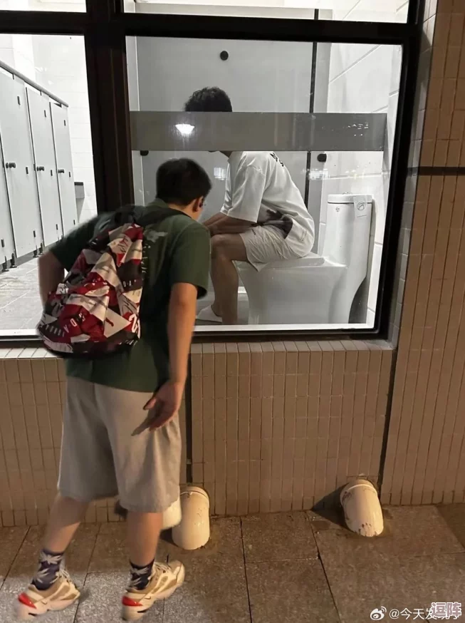 外站高校沟厕嘘嘘盗摄现象的社会影响与法律责任研究：以某高校为例