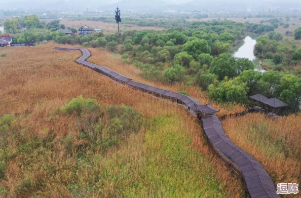 芦苇荡里的母爱：在自然的怀抱中，展现出无私奉献与深厚情感的母亲形象，传递温暖与希望