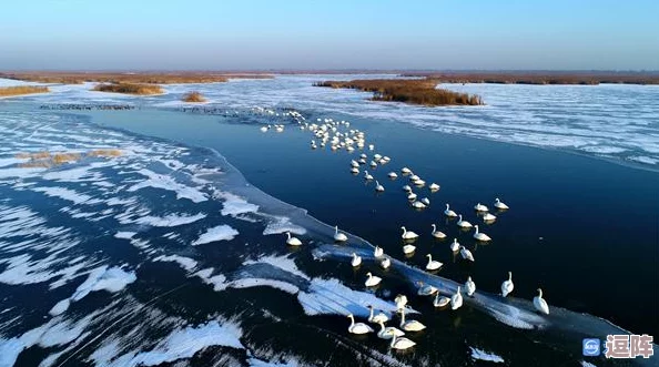 芦苇荡里的母爱：在自然的怀抱中，展现出无私奉献与深厚情感的母亲形象，传递温暖与希望