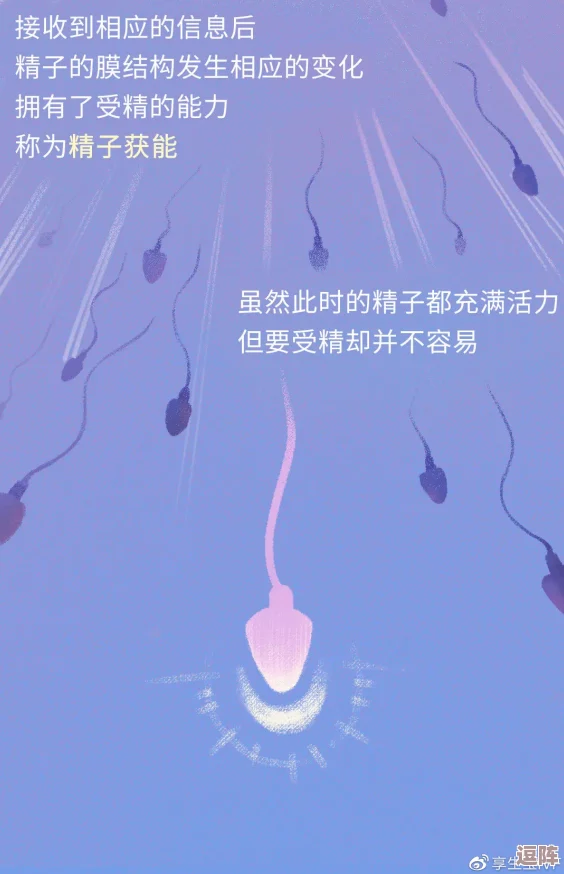 雷电大人被注入精子!震惊全网的奇异实验背后隐藏着怎样不可思议的秘密? 雷电大人被注入精子!震惊全网的奇异实验背后隐藏着怎样不可思议的秘密?