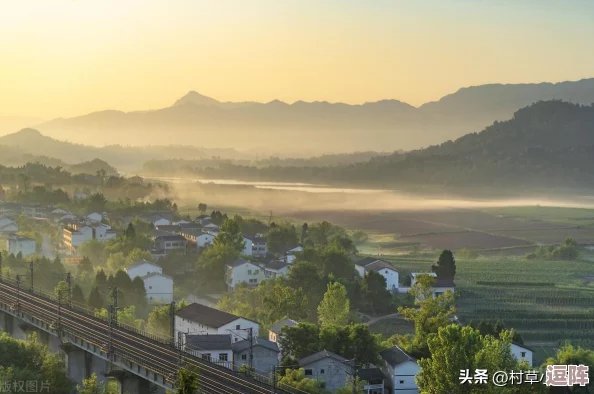 美国女儿需要爸爸的耕种：在现代社会中，父亲的陪伴与支持对女儿成长的重要性不容忽视
