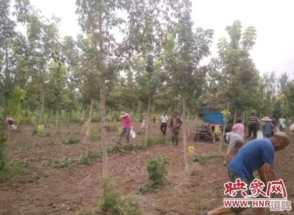 美国女儿需要爸爸的耕种：在现代社会中，父亲的陪伴与支持对女儿成长的重要性不容忽视