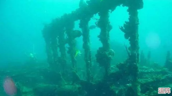 老人船上草雨荷，惊现神秘水下生物，打破科学界对海洋生态的理解！