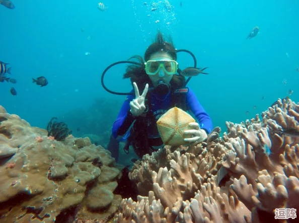 老人船上草雨荷,惊现神秘水下生物,打破科学界对海洋生态的理解! 老人船上草雨荷,惊现神秘水下生物,打破科学界对海洋生态的理解!