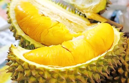 丝瓜草莓榴莲秋葵芭乐小黄鸭：科学家发现这些食材竟能显著提高免疫力，震惊全球健康界！