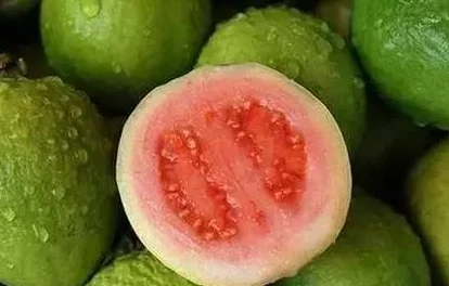 丝瓜草莓榴莲秋葵芭乐小黄鸭:科学家发现这些食材竟能显著提高免疫力,震惊全球健康界! 丝瓜草莓榴莲秋葵芭乐小黄鸭:科学家发现这些食材竟能显著提高免疫力,震惊全球健康界!